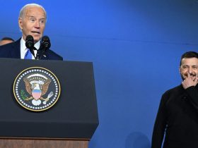 Joe Biden, Volodymyr Zelensky, President Putin, Kamla Harris, Vice President, Nato Meeting,