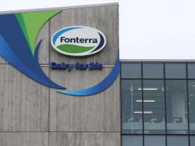 Fonterra, Profit of Fonterra, Milk Co Operating Company, New Zealand,