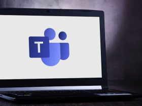 Immigration New Zealand, staff meeting chat, Migrants New Zealand, INZ application,