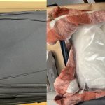 Auckland Airport, New Zealand, Drug bust, New Zealand Customs,