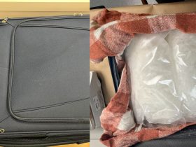 Auckland Airport, New Zealand, Drug bust, New Zealand Customs,