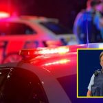 NZ Police, Nelson, New Year night incident, NZ Crime, Senior Sergeant Lyn Fleming,