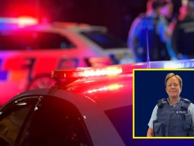 NZ Police, Nelson, New Year night incident, NZ Crime, Senior Sergeant Lyn Fleming,