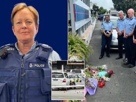 New Zealand Police, Lyn Fleming, Nelson District Court, Crime News,