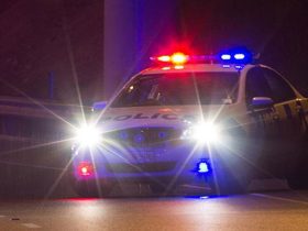 NZ Police, Nelson, New Year night incident, NZ Crime,