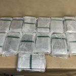 New Zealand Customs Service, Auckland Airport, Cocaine, Drugs,