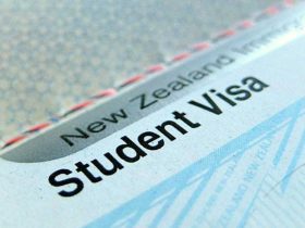 Immigration New Zealand, INZ, Student visa processing time, Student Visa,