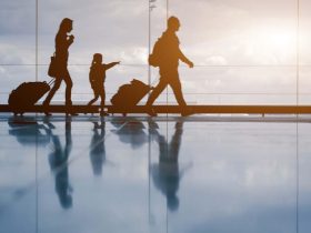 Dependent Children Visa, Health Requirement, Immigration New Zealand, temporary visa holders,