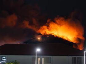 West Auckland Henderson, House on Fire, Gujarati Family House, Givealittle, Donation Appeal,