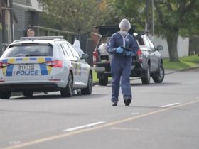 Auckland Crime, New Zealand Crime, Meadowbank, St. Johns Rd, Young Man Died,