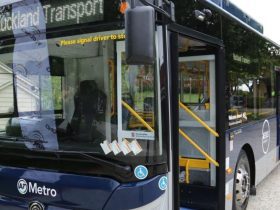 At Bus Driver, Papatoetoe Assault, Passenger died, Auckland Police,