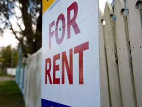 For Rent, New Zealand rented Property Price, Auckland, rental Property Market,