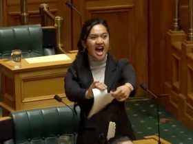 Haka Dance, New Zealand Parliament, mp hana rawhiti maipi clarke,