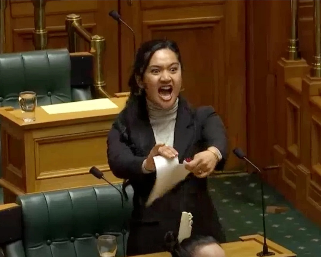 Haka Dance, New Zealand Parliament, mp hana rawhiti maipi clarke,