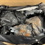 New Zealand Customs Services, methamphetamine, Auckland International Airport, Cocaine,
