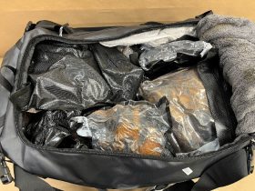 New Zealand Customs Services, methamphetamine, Auckland International Airport, Cocaine,