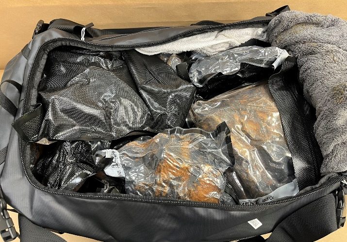 New Zealand Customs Services, methamphetamine, Auckland International Airport, Cocaine,