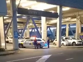 Lynnmall, Auckland Police, Gunshot, Person of Interest,
