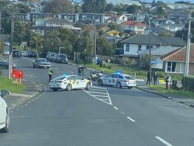 wHITE sWAN ROAD, Mt. Roskill, Auckland, New Zealand, Police, Domestic Violence,