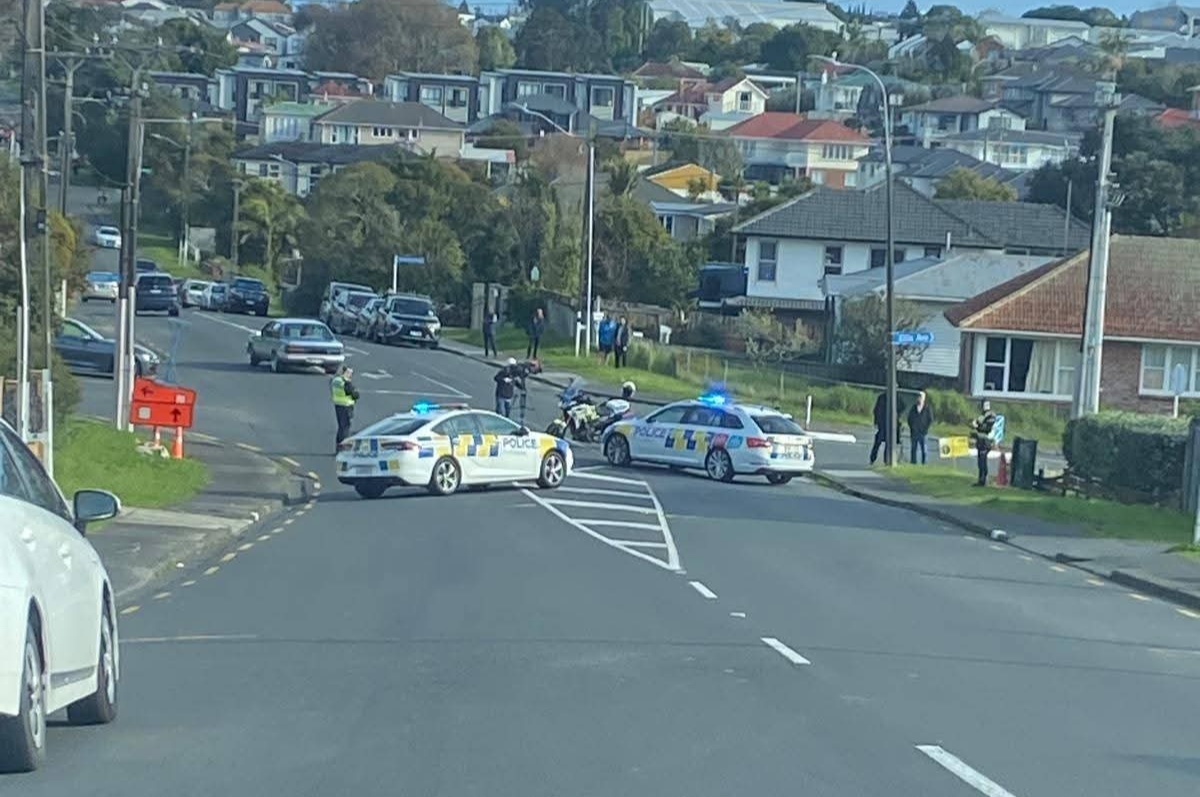 wHITE sWAN ROAD, Mt. Roskill, Auckland, New Zealand, Police, Domestic Violence,