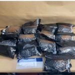 Auckland Airport, Los Angles Flight, 19 Year Passenger, Auckland Airport Drugs Burst,