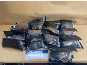 Auckland Airport, Los Angles Flight, 19 Year Passenger, Auckland Airport Drugs Burst,