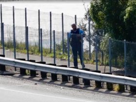 Auckland Southern Motorway, Pipe Bomb, New Zealand Police,