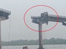 vadodara, Padara, Gambhira Bridge Collapsed, Gujarat news,