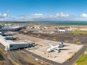 Auckland Airport, Heavy Winds, Flights Delayed, Flights Cancelled, Passenger Stranded,