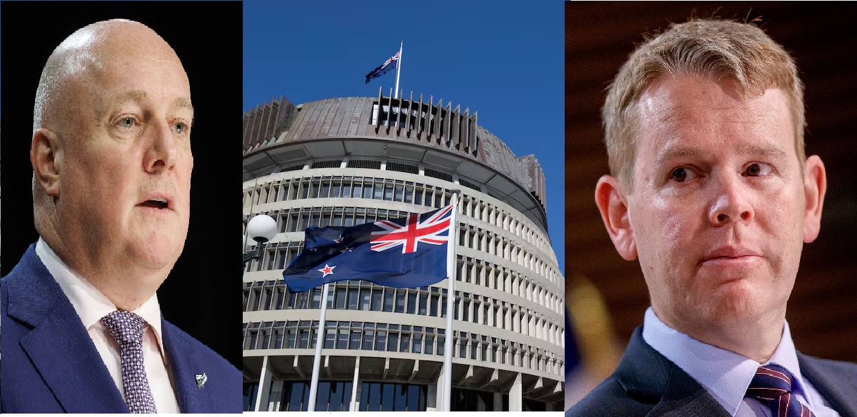 Hung Parliament, Christopher Luxon, Chris Hiplins, Latest survey, Taxpayers' Union-Curia Poll Survey,