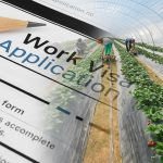 Immigration New Zealand, New Zealand Visa, Erica Stanford, NZ Employment,